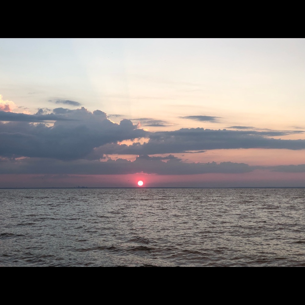 Meet your Posher, Caroline